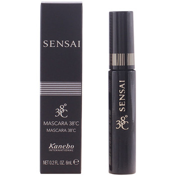 Kanebo Sensai Eyeliner Mascara 38ºc m01 Black