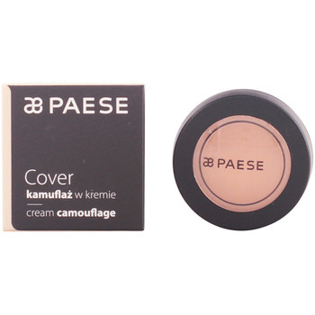 Paese Antiarrugas & correctores Cover Kamouflage Cream 10