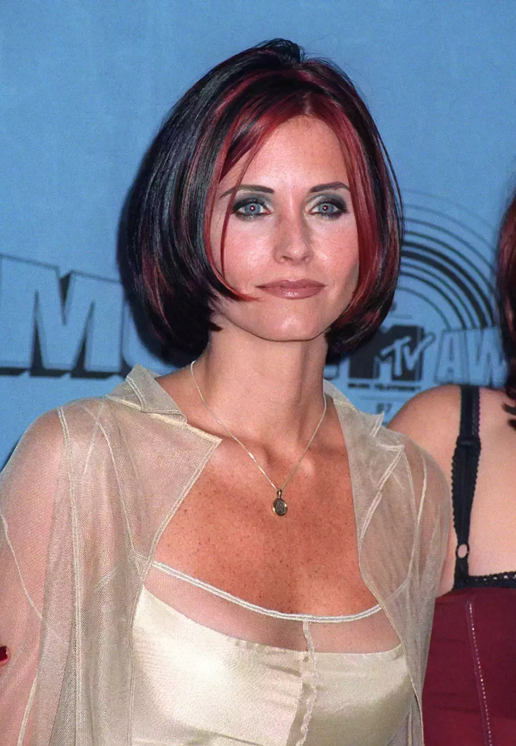 Courteney Cox’s Bob with Plum Highlights
