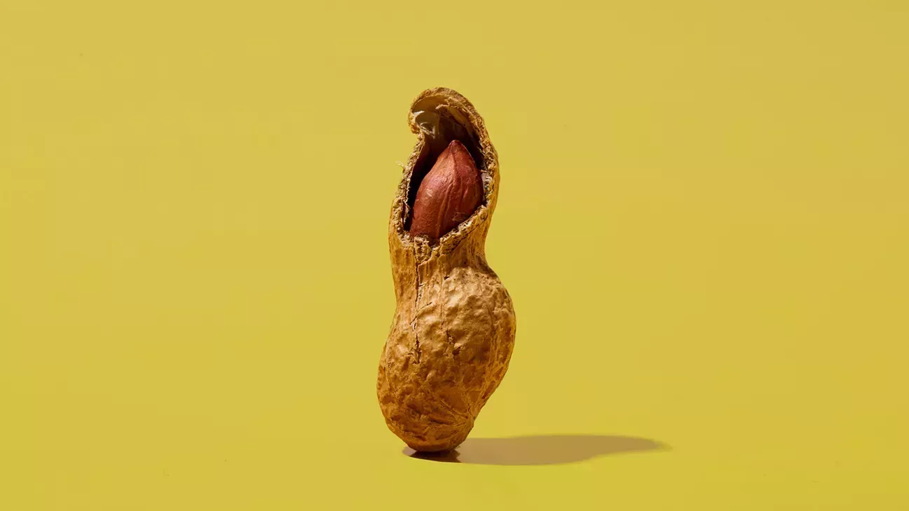 Guía para principiantes sobre las grasas saludables que su cuerpo adora 