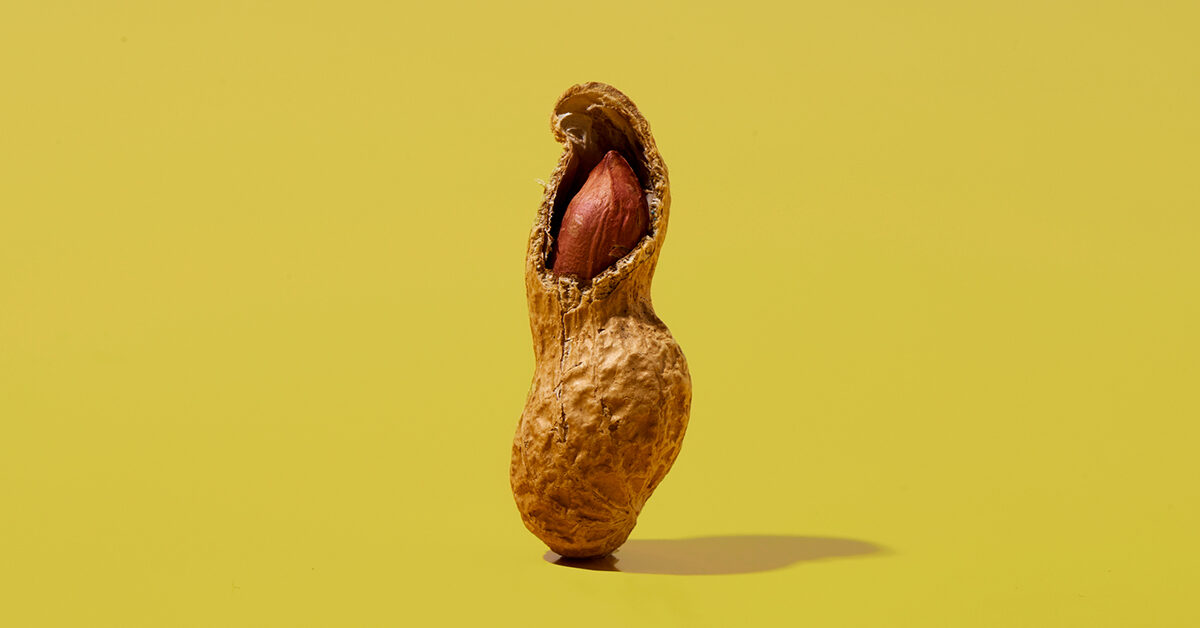 Guía para principiantes sobre las grasas saludables que su cuerpo adora 