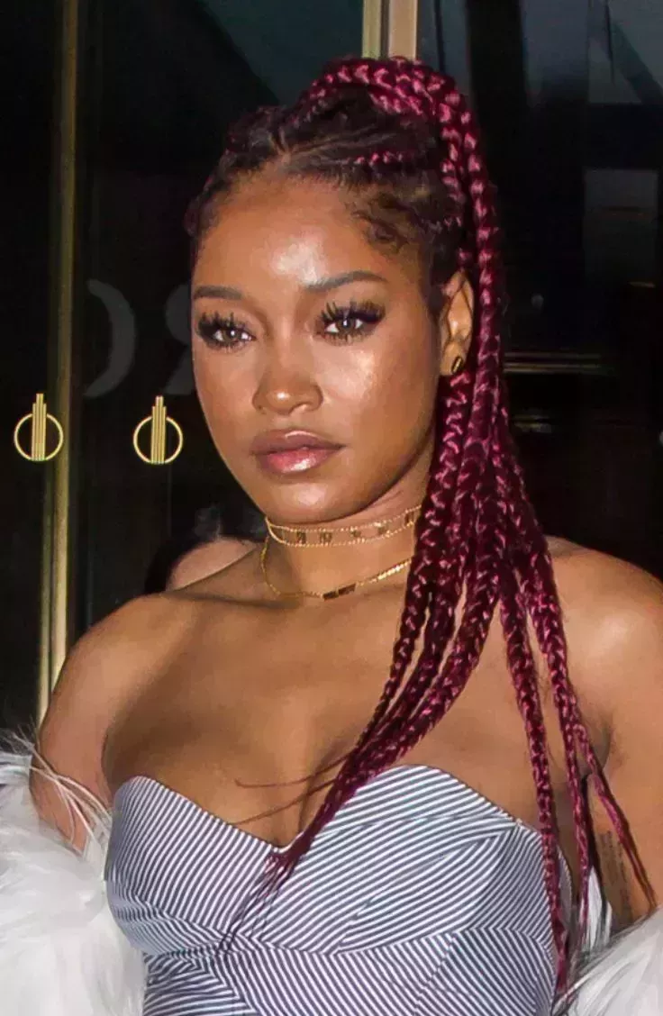 Keke Palmer’s Braids Hairstyle