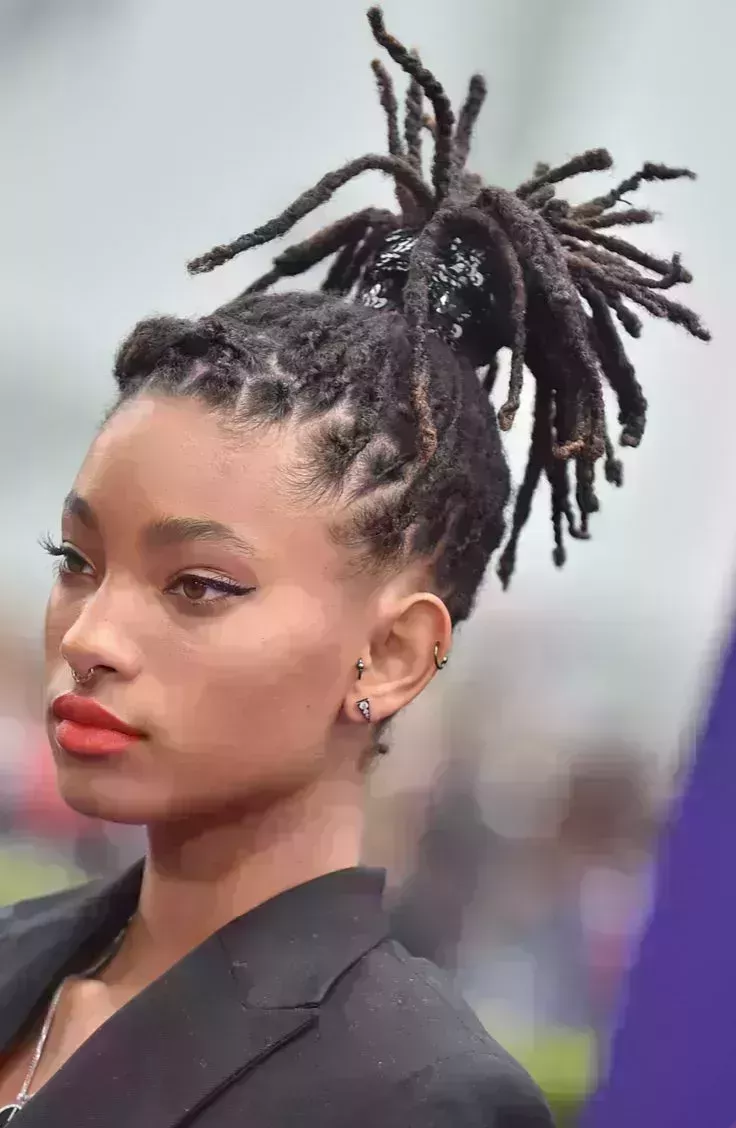 Willow Smith’s Protective Updo Style