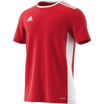 adidas Camiseta Entrada 18