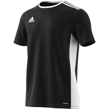 adidas Camiseta Entrada 18