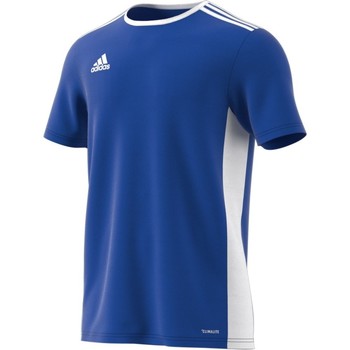 adidas Camiseta Entrada 18