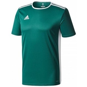adidas Camiseta Entrada 18 Jsy