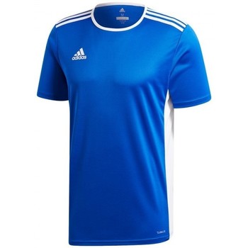 adidas Camiseta Entrada 18 m/c