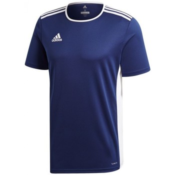 adidas Camiseta Entrada 18 m/c