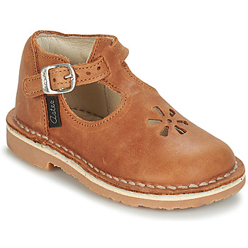 Aster Bailarinas BIMBO