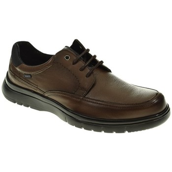 Baerchi Zapatos Hombre CORDON/BLUCHER MARRON