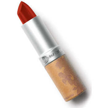 Caramel Pintalabios ROUGE A LEVRES BARRA DE LABIOS N263 ROUGE PROFOND
