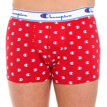 Champion Boxer Boxers Champions