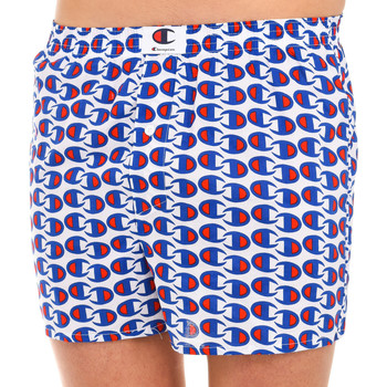 Champion Boxer Boxers Champions