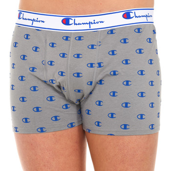 Champion Boxer Boxers Champions