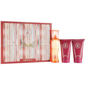 Dyal Cofres perfumes CARIBBEAN JOE FOR GIRL EDT 100ML + BODY 150ML + GEL 150ML