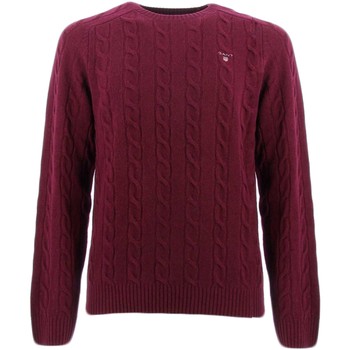 Gant Jersey COLOR FRIDAY suéteres hombre Burdeos