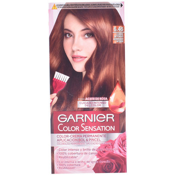 Garnier Coloración Color Sensation Intensissimos 6,46 Cobre Intenso
