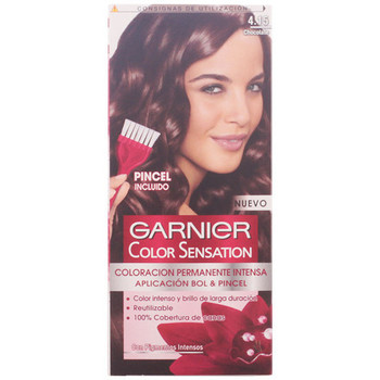 Garnier Coloración COLOR SENSATION N4,15 CHOCOLATE