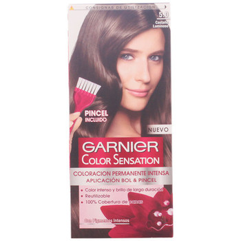 Garnier Coloración COLOR SENSATION N5,0 CASTANO LUMINOSO