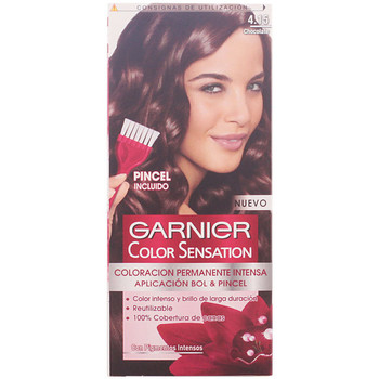 Garnier Tratamiento capilar Color Sensation 4,15 Chocolate