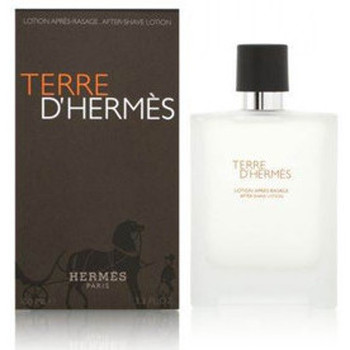 Hermès Paris Cuidado Aftershave TERRE D LOCION AFTER SHAVE 100ML