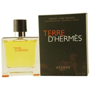 Hermès Paris Perfume TERRE D POUR HOMME EDP 75ML