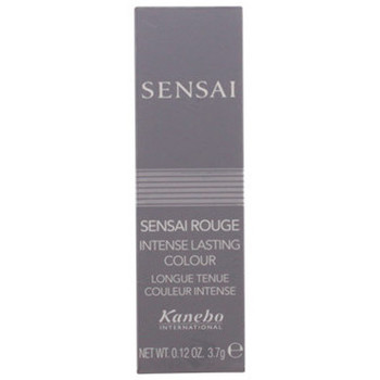 Kanebo Pintalabios ROUGE INTENSE LASTING COLOUR NIL114 3,7 GR