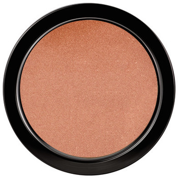 Paese Colorete & polvos BRONZER POLVOS 1P