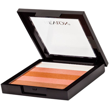 Revlon Sombra de ojos & bases HIGHLIGHTING PALETTE 30 BRONZE BLOW 7,5GR