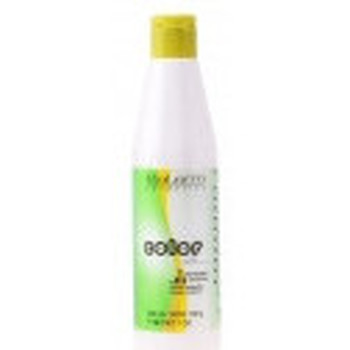 Salerm Tratamiento capilar COLOR SOFT DEVELOPER EMULSION 200ML