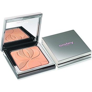 Sisley Colorete & polvos BLUR EXPERT LUMINOUS PERFECTING VEIL 11GR