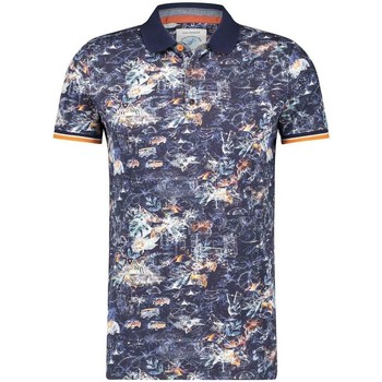 A Fish Named Fred Polo festival mapa