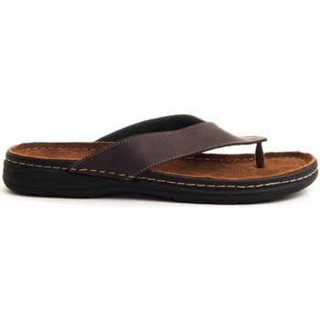 Arizona Chanclas 70513