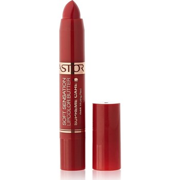 Astor Lápiz de labios LABIAL SOFT SENSATION BUTTER PENCIL 048