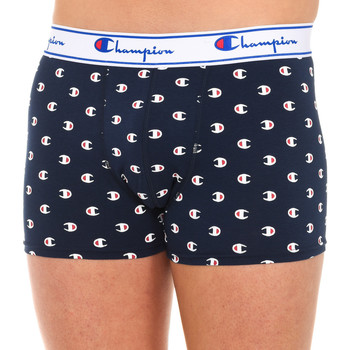 Champion Boxer Boxers Champions