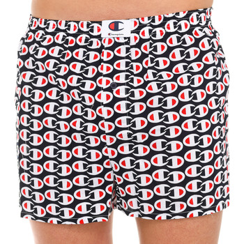 Champion Boxer Boxers Champions