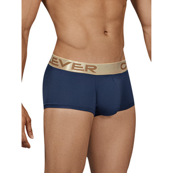 Clever Boxer Fenómeno del boxeador inteligente