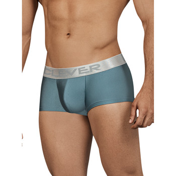 Clever Boxer Fenómeno del boxeador inteligente