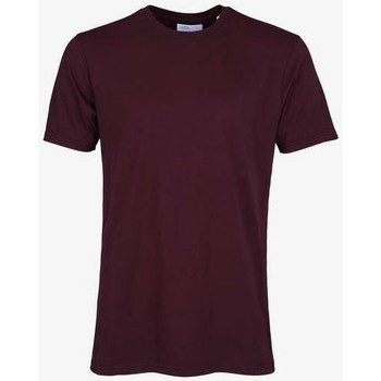 Colorful Standard Camiseta T-shirt Oxblood Red