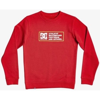 DC Shoes Jersey SUDADERA CASUAL NIÑO DC SKETCHY ZONE EDBSF03109