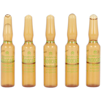 Endocare Antiedad & antiarrugas Tensage Regenerating Intensive Treatment Ampoules 10x2 Ml