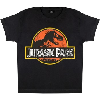 Jurassic Park Camiseta -