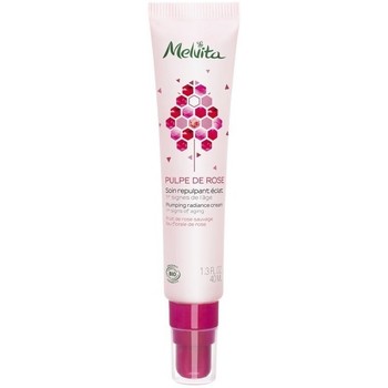 Melvita Antiedad & antiarrugas PLUMPING RADIANCE CREAM 40ML