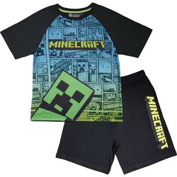 Minecraft -