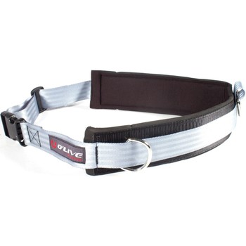 Olive Complemento deporte Cinturón resist