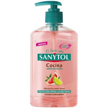 Sanytol Productos baño ANTIBACTERIAS JABON MANOS COCINA DOSIFICADOR 250ML