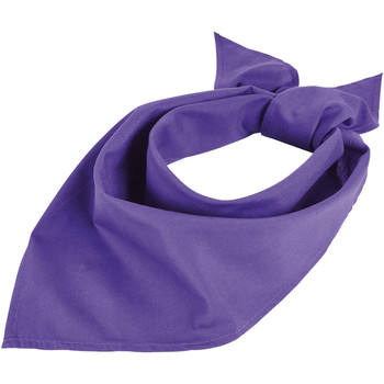 Sols Tratamiento capilar BANDANA Morado Oscuro
