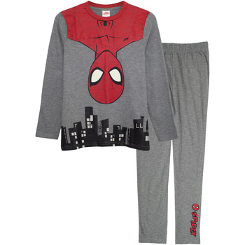 Spiderman -