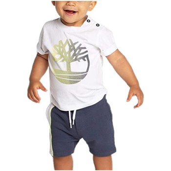 Timberland T08173N00